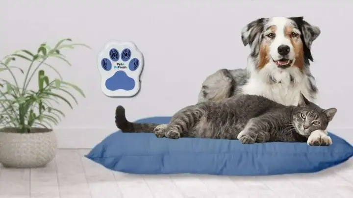 Air Purifier For pets